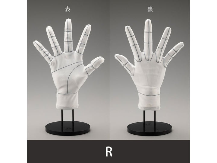 ARTIST SUPPORT ITEM ハンドモデル専用手袋/R -Wireframe-