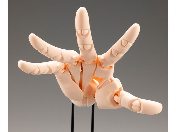 ARTIST SUPPORT ITEM ハンドモデル/L -PALE ORANGE- 1/1スケール