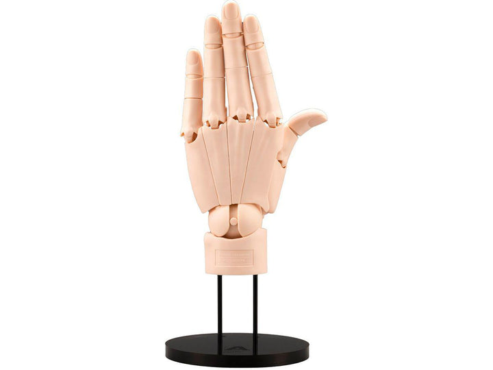 ARTIST SUPPORT ITEM ハンドモデル/L -PALE ORANGE- 1/1スケール