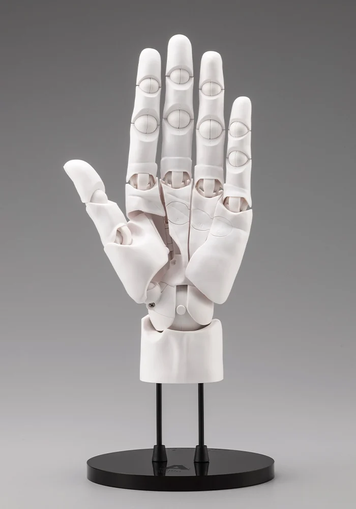 ARTIST SUPPORT ITEM ハンドモデルMEN'S/L -WHITE- 1/1スケール