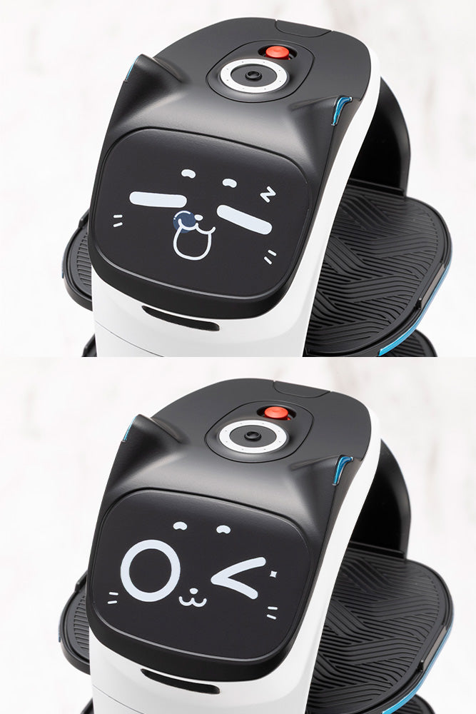 グランデスケール ベラボット