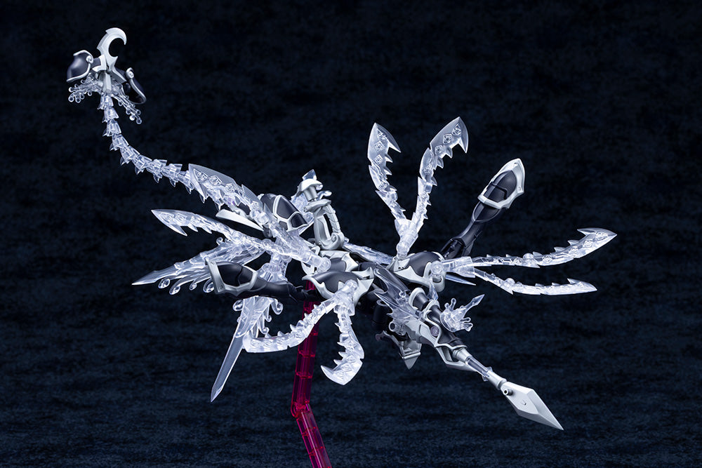 ゼノアルマ タイダル オルケートス