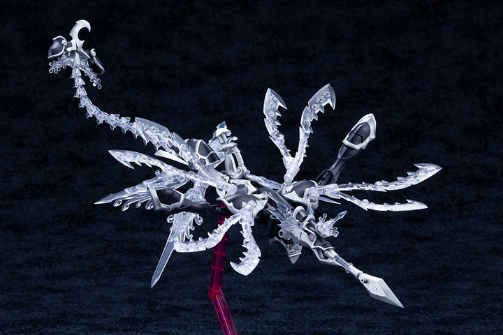 ゼノアルマ タイダル オルケートス