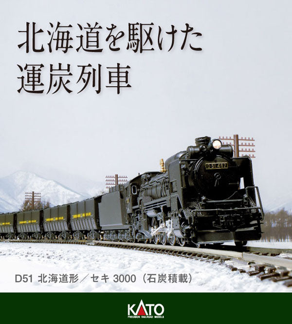 2016-B D51 北海道形