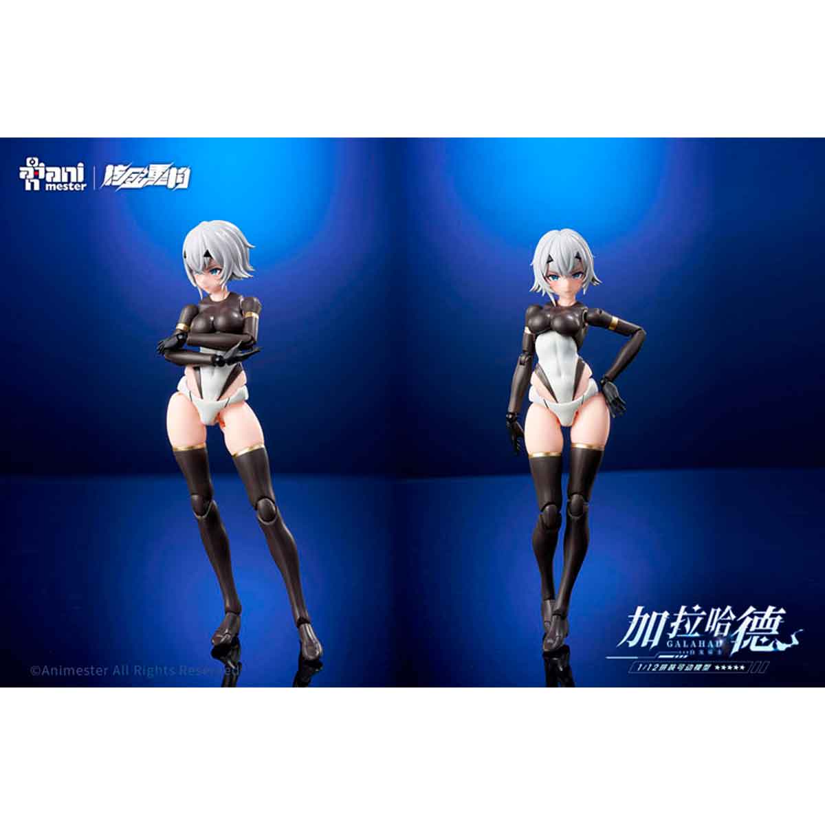 核金重? 白龍騎士 GALAHAD【初回限定版】 – SOOTANG HOBBY