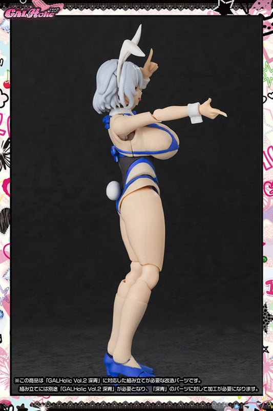 GALHolic Customize Resin Kit Vol.3