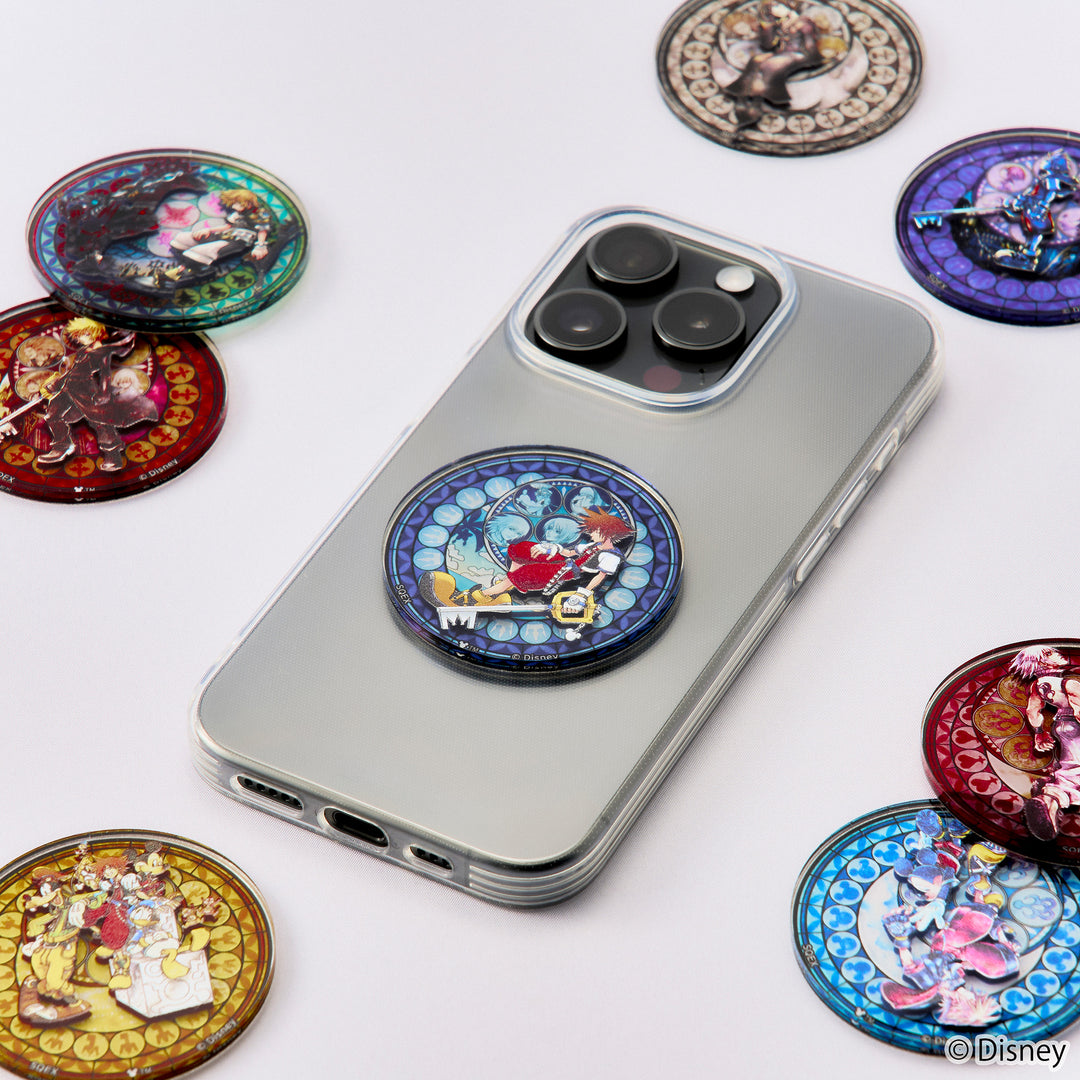 [BOX販売]キングダム ハーツ / アクリルステッカーコレクション -14個入りBOX-