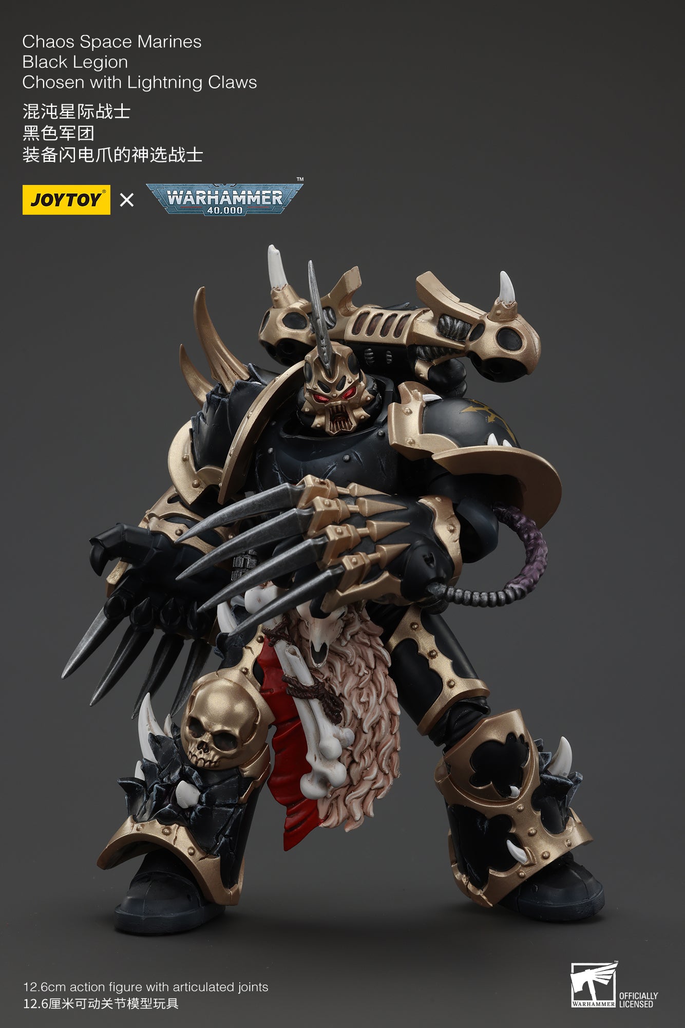 ウォーハンマー40k ケイオス スペースマリーン レギオナリー LEGIONARIES