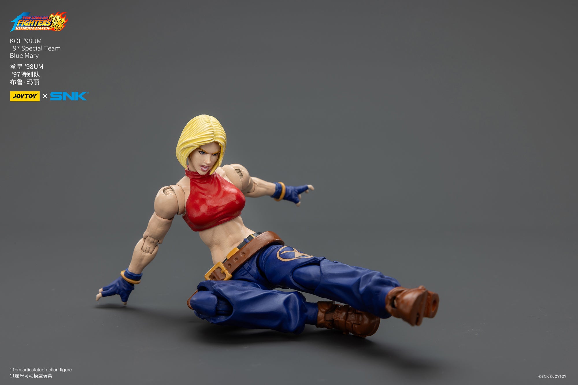 WFクーポン対象] '97スペシャルチーム ブルー・マリー 1/18スケール