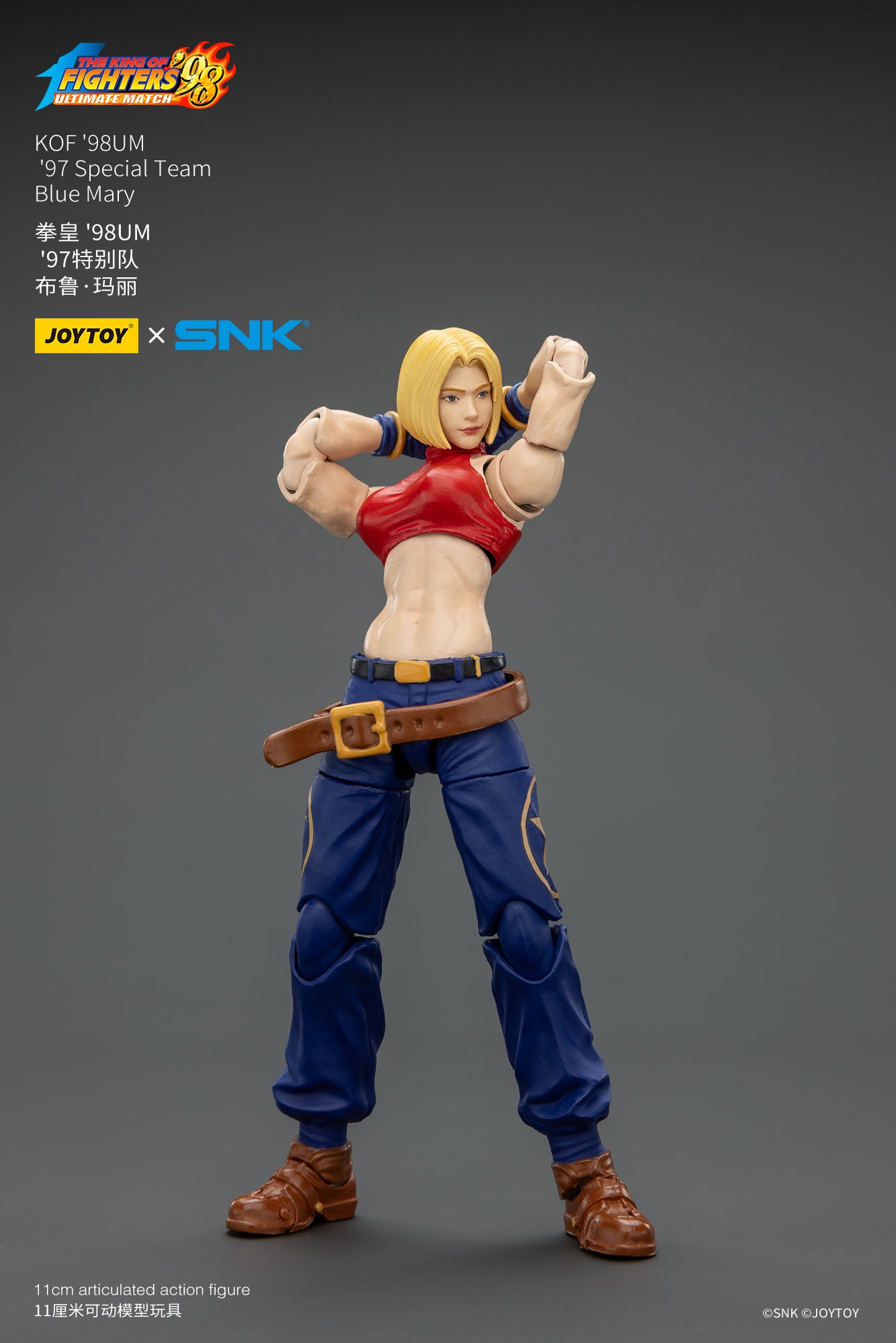 97スペシャルチーム ブルー・マリー 1/18スケール – SOOTANG HOBBY
