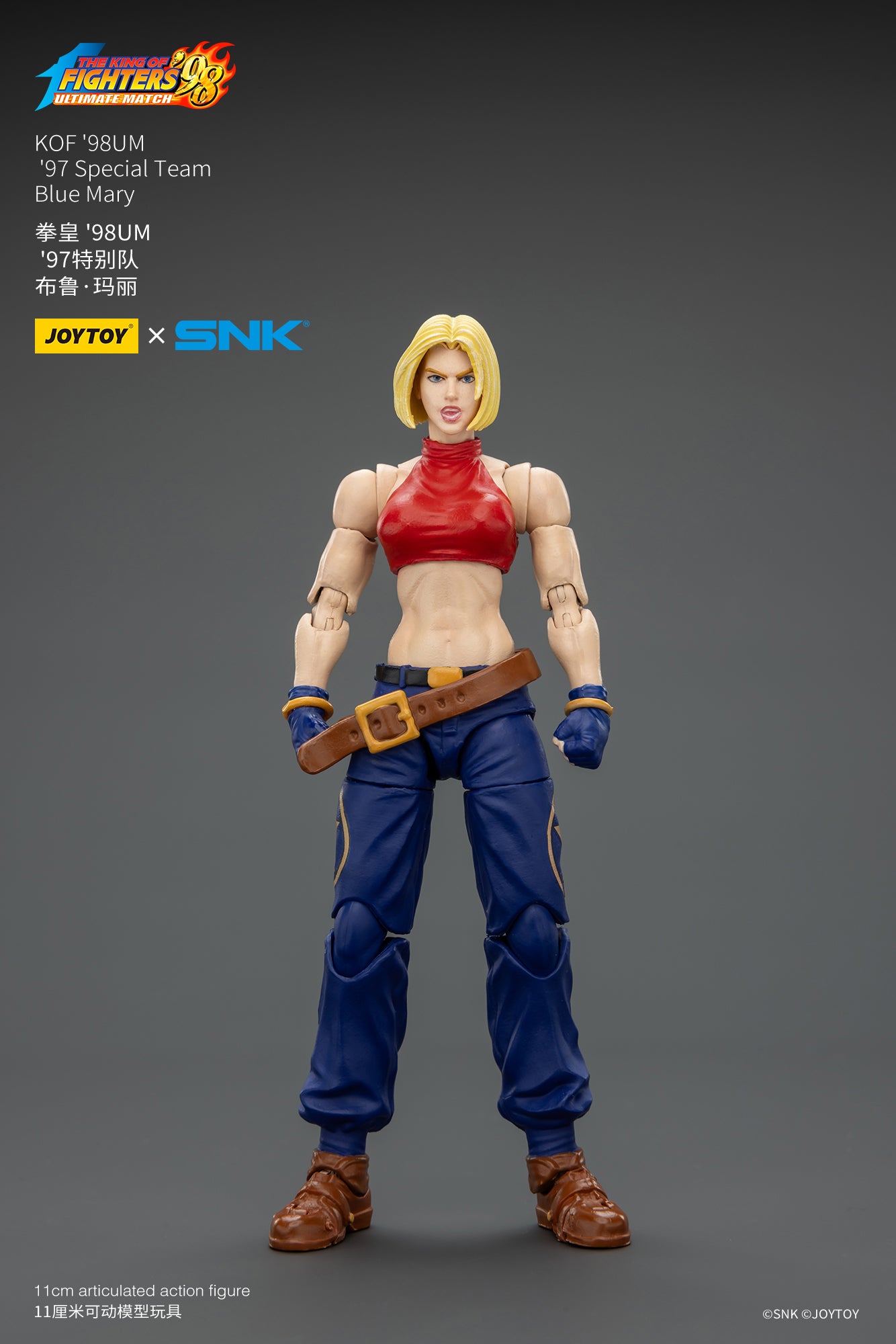 97スペシャルチーム ブルー・マリー 1/18スケール – SOOTANG HOBBY