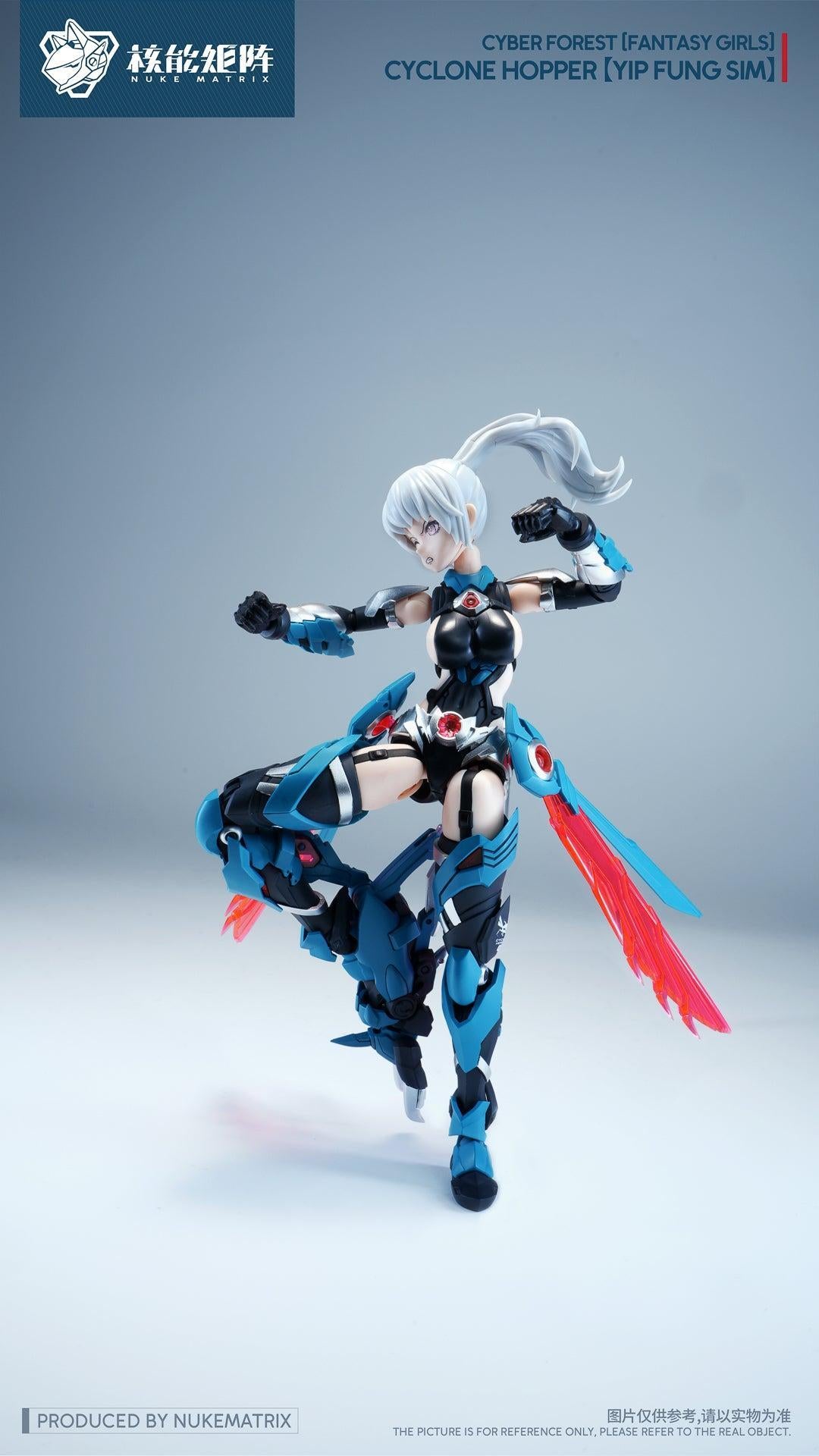 CYBER FOREST[FANTASY GIRLS] CYCLONE HOPPER：YIP FUNG SIM 1/12