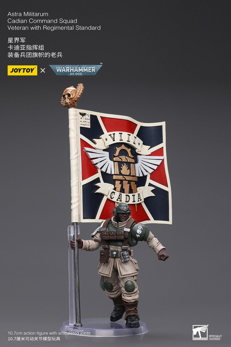 アストラ・ミリタリウム ケイディア・コマンド・スカッド ベテラン（連隊旗装備）