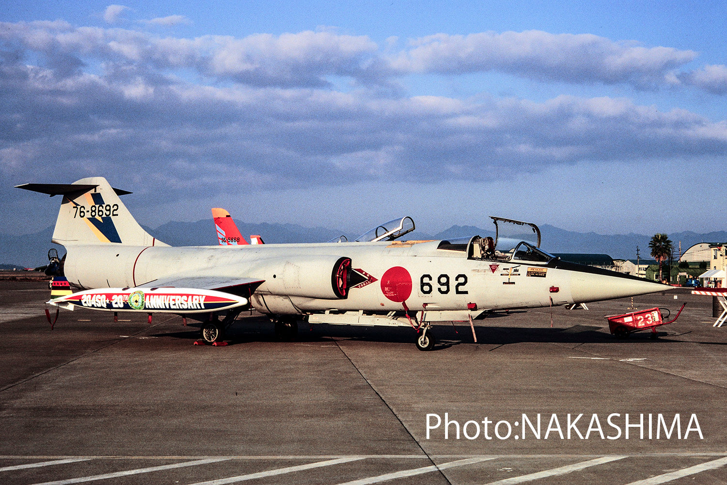 航空自衛隊 F-4EJ 第303飛行隊 小松・1981年訓練用塗装 (彩色