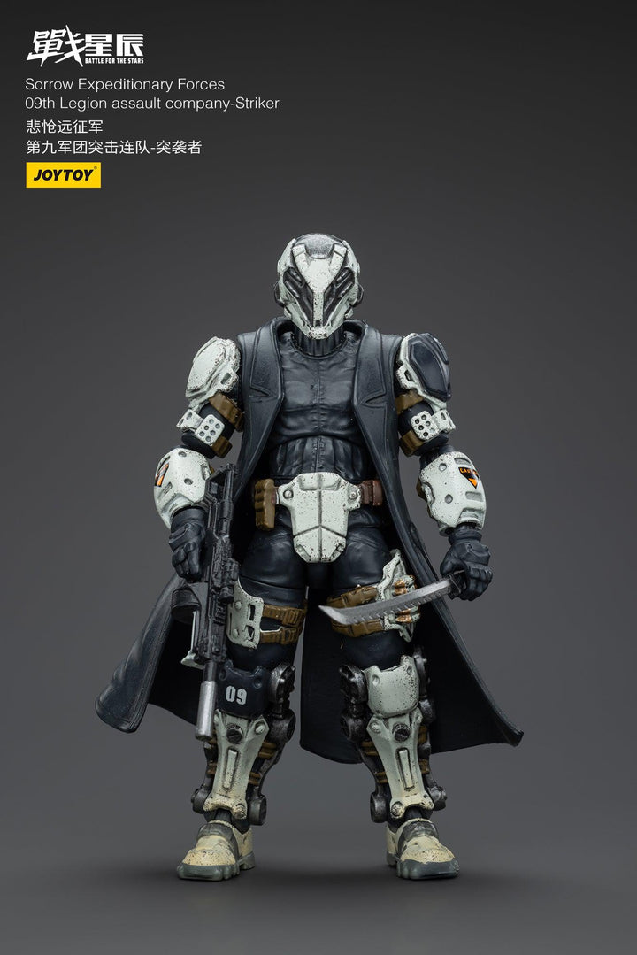 悲愴遠征軍 09thレギオン ストライカー 1/18スケール