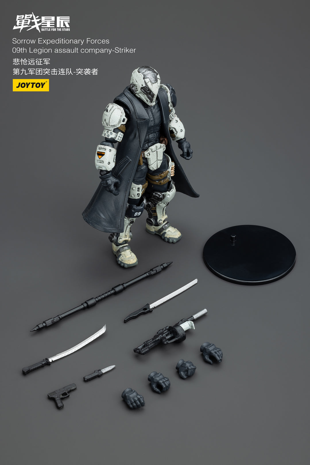悲愴遠征軍 09thレギオン ストライカー 1/18スケール
