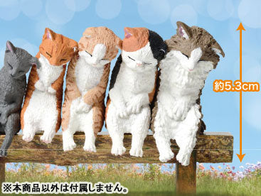 [BOX販売]いっしょにねんね　にゃんこ