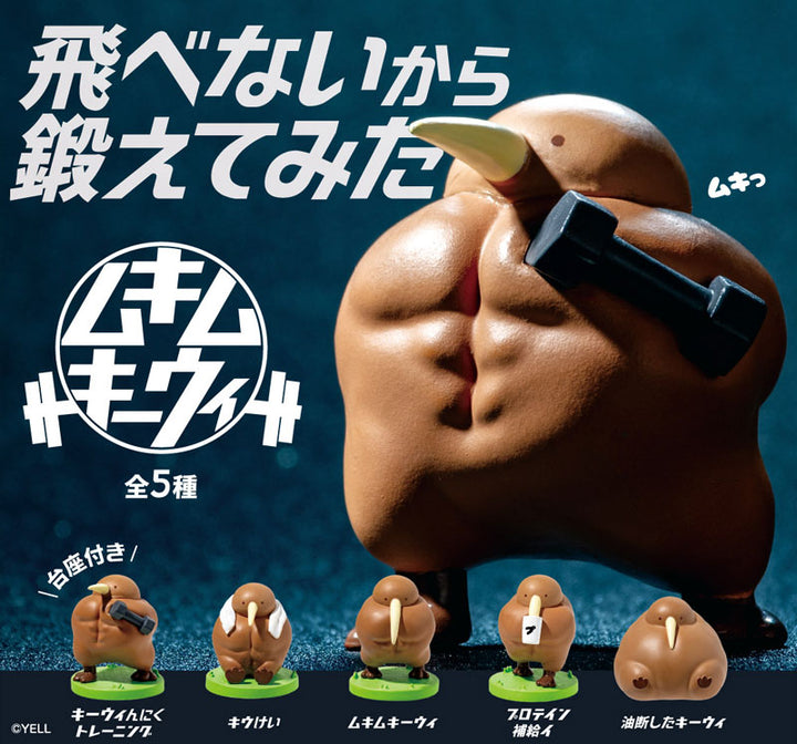 [BOX販売]ムキムキーウィ