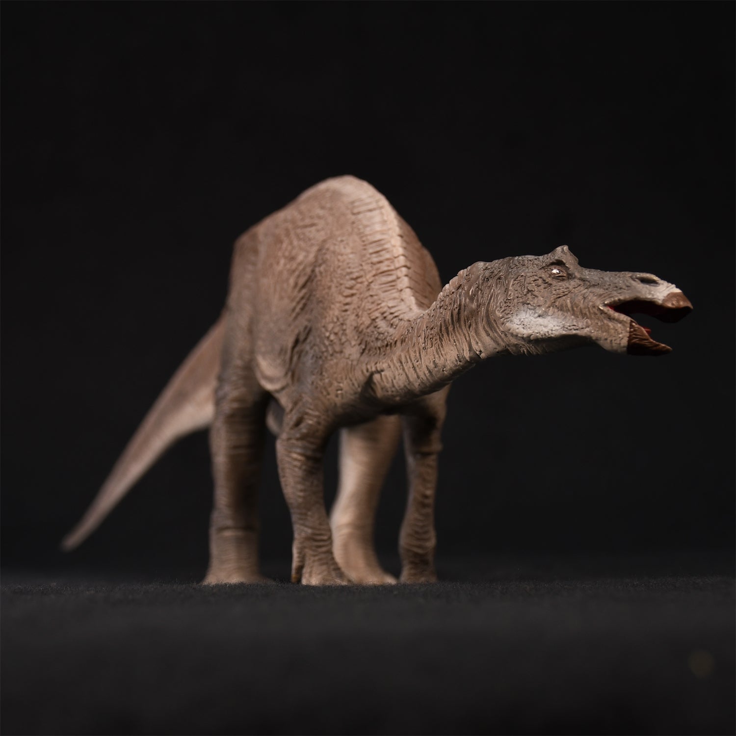 マイアサウラ ミドル ソフビキット復刻版 – SOOTANG HOBBY