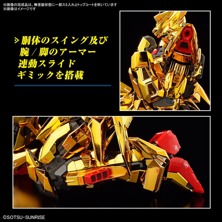 RG 1/144 アカツキガンダム(オオワシ装備)