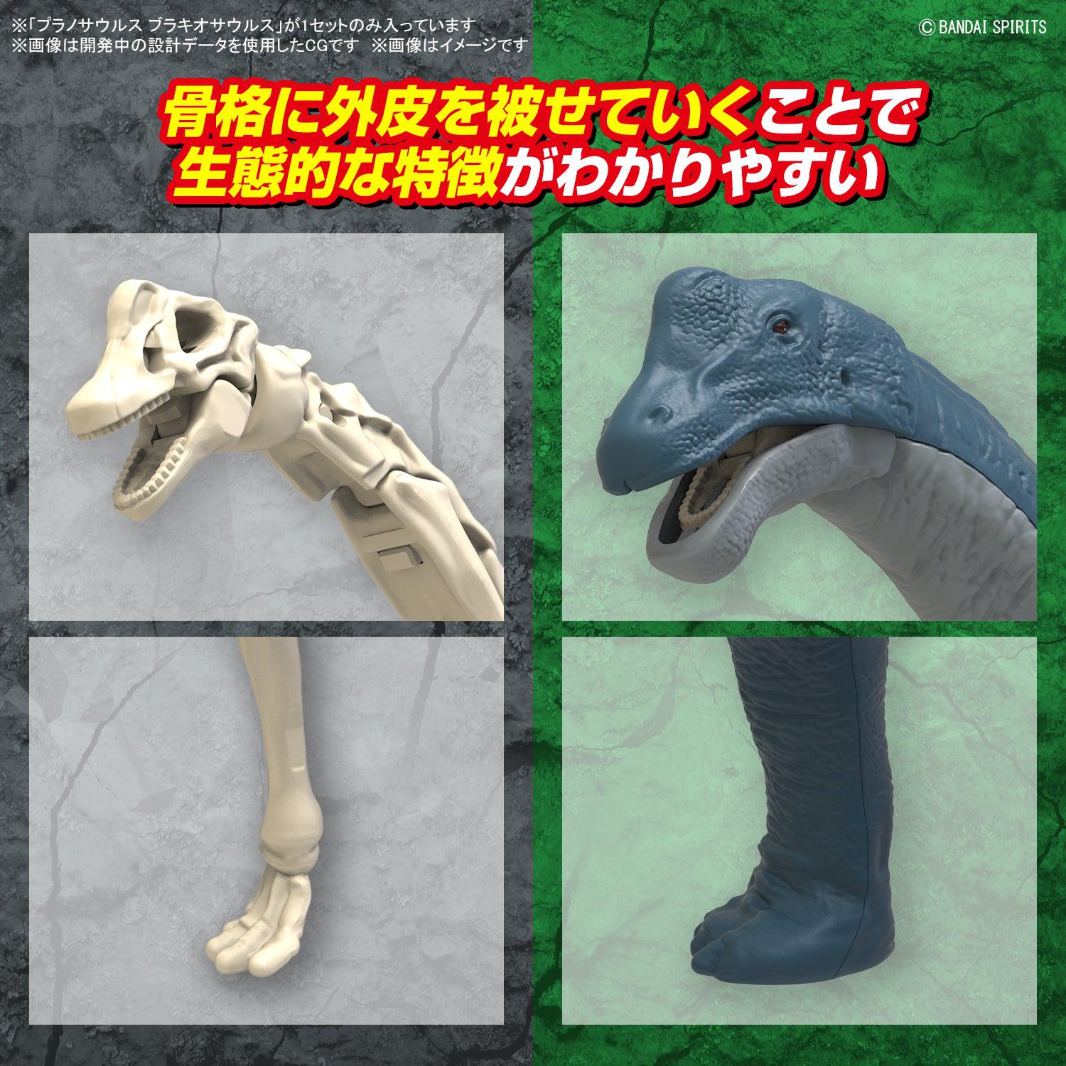 木彫 クリョロフォサウルス頭骨 1スケール 10㎝ ったらしい 木彫 クリョロフォサウルス頭骨 1スケール 10㎝ ったらしい