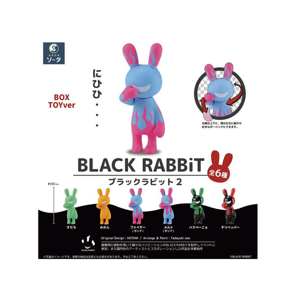 ブラックラビット5 ボックストイ 6点+特典セット ブラックラビット5 ボックストイ 6点+特典セット - メルカリ