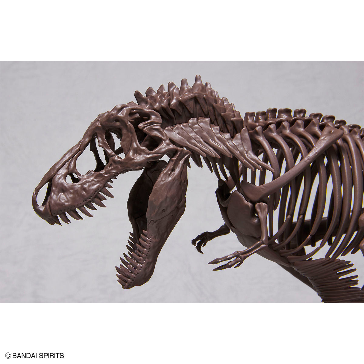 1/32 Imaginary Skeleton ティラノサウルス – SOOTANG HOBBY