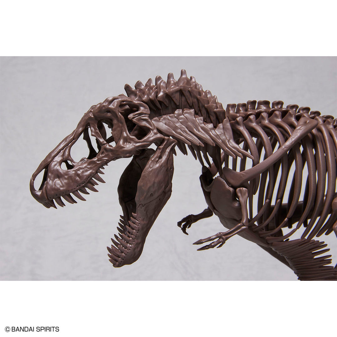 1/32 Imaginary Skeleton ティラノサウルス