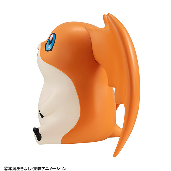 るかっぷ パタモン