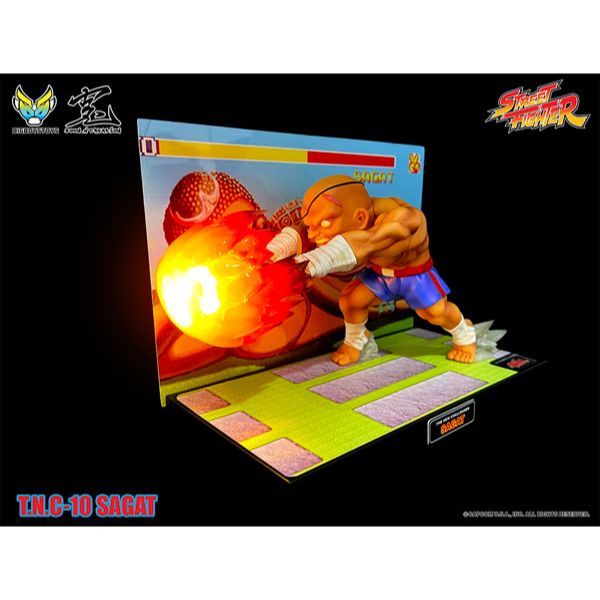 T.N.C-10- サガット