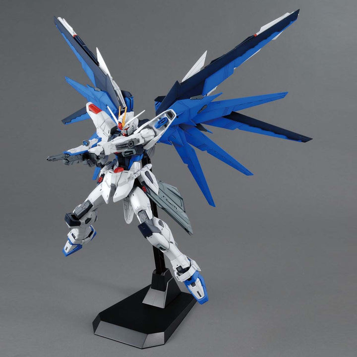 MG フリーダムガンダム Ver.2.0 1/100スケール