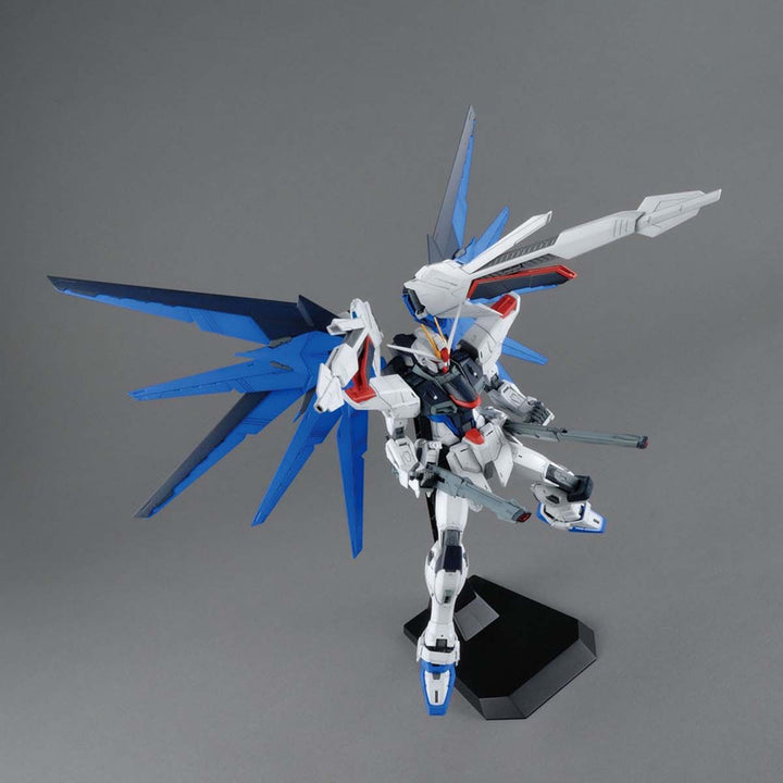 MG フリーダムガンダム Ver.2.0 1/100スケール