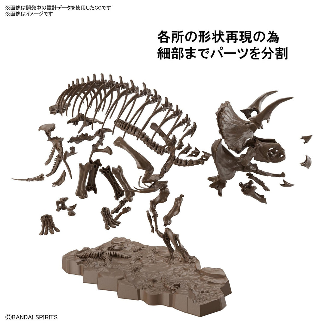 1/32 Imaginary Skeleton トリケラトプス