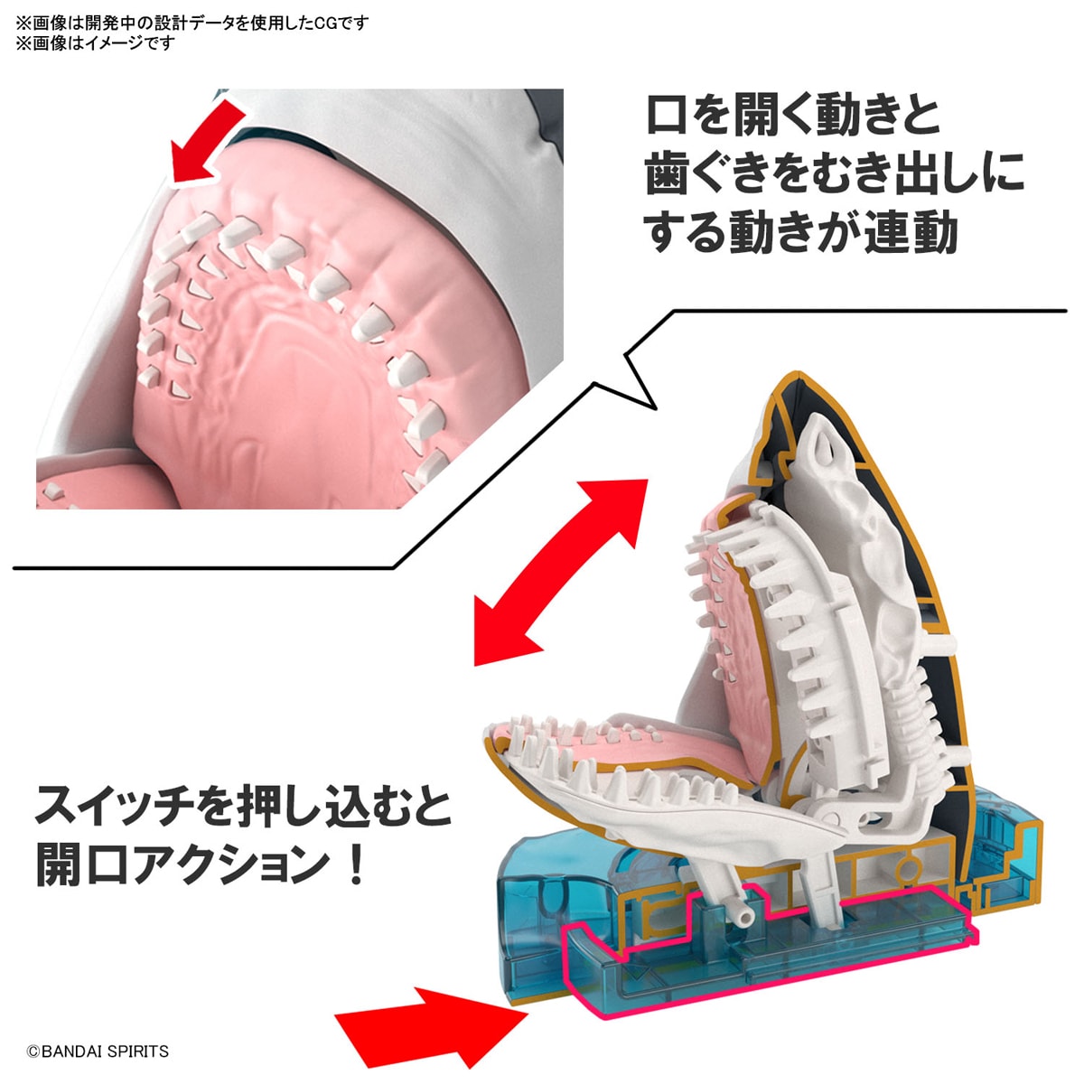 Exploring Lab Nature ホホジロザメ – SOOTANG HOBBY