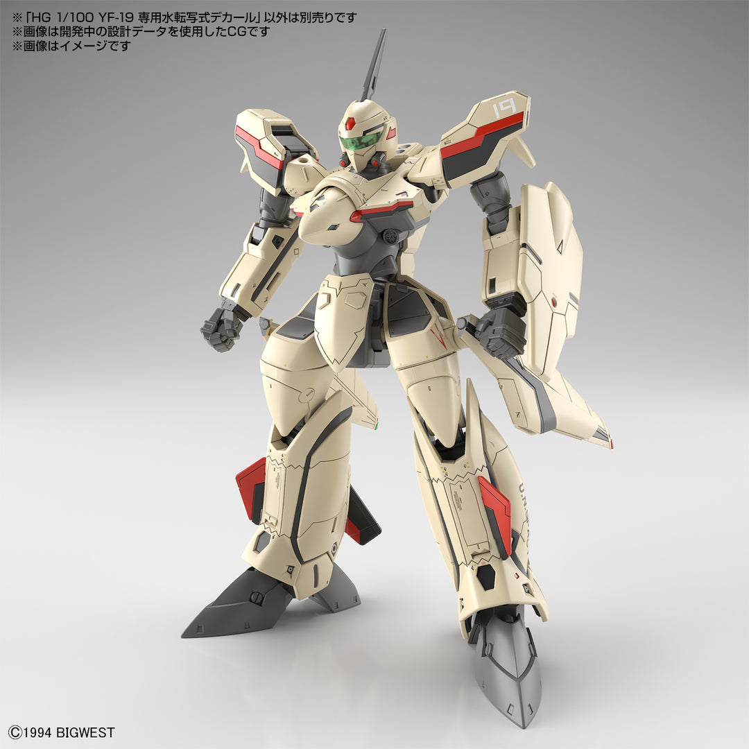HG YF-19専用水転写デカール