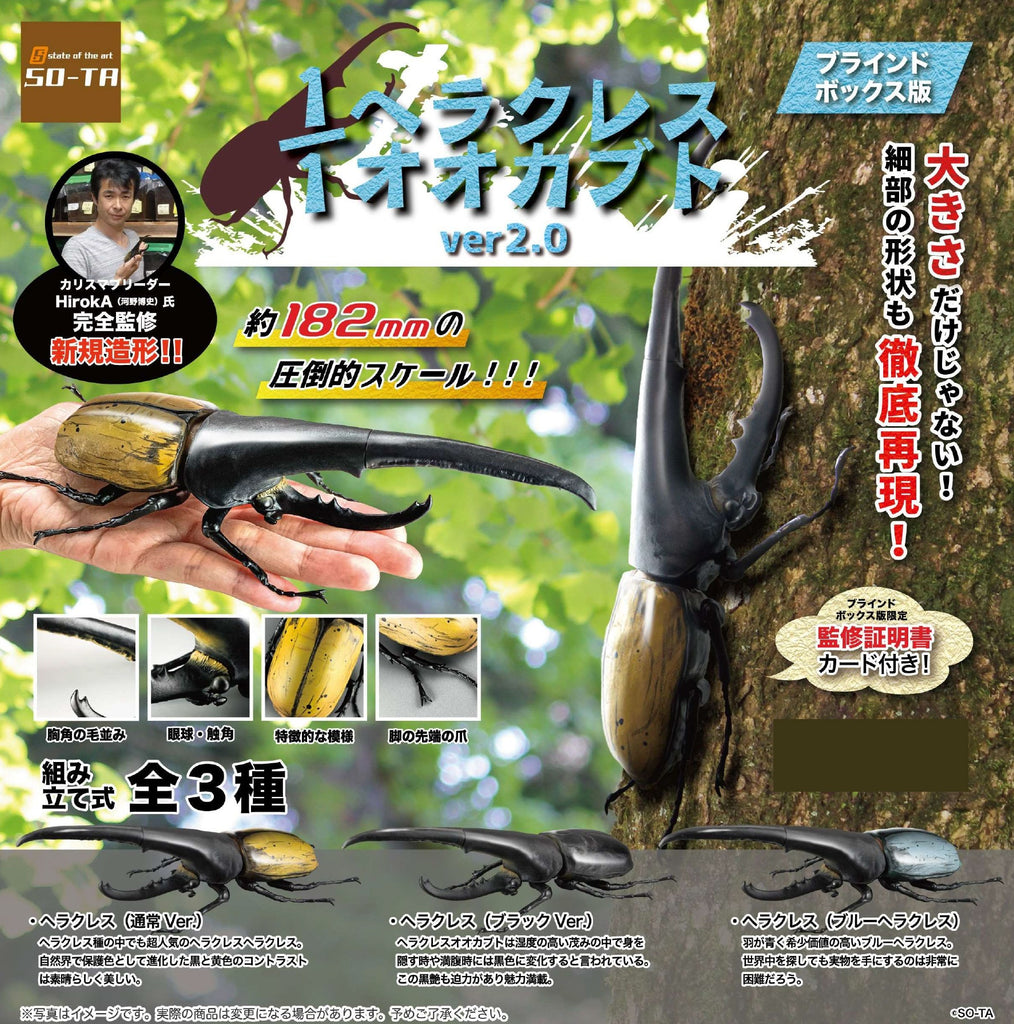 ぷてらす　ヘルクレスオオカブト 他 ヘラクレスオオカブトのいる動物園は？飼育展示施設とヘラクレス