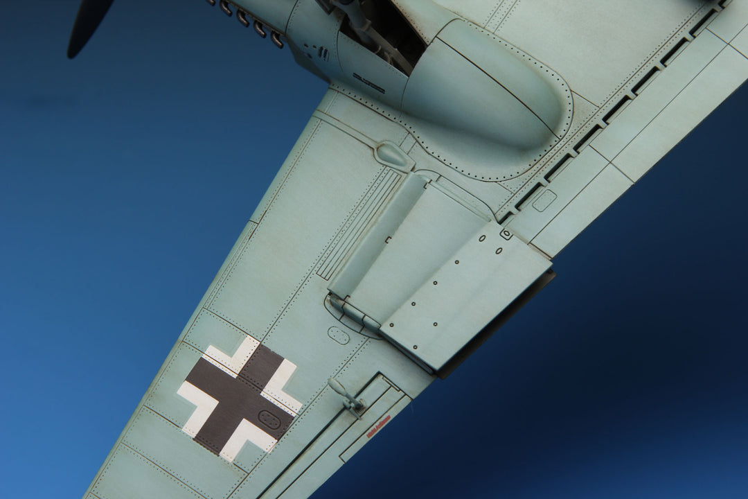 MENG MODEL(モンモデル)LS-003 1/48 メッサーシュミットMe410A-1(プラモデル)