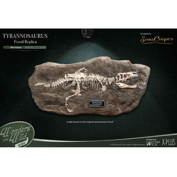 エクスプラス ワンダーズ オブ ザ ワイルド ティラノサウルス・レックス　化石レプリカ