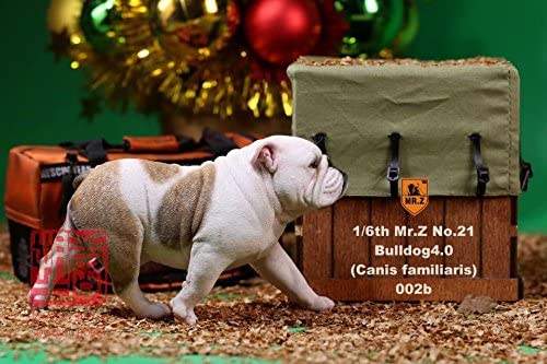 Mr.Z 1/6 ブルドック 4.0 5種 動物 置物 フィギュア 002（Amazon