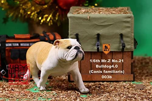 003 1/6 イングリッシュブルドッグ ネープルスイエロー フィギュア