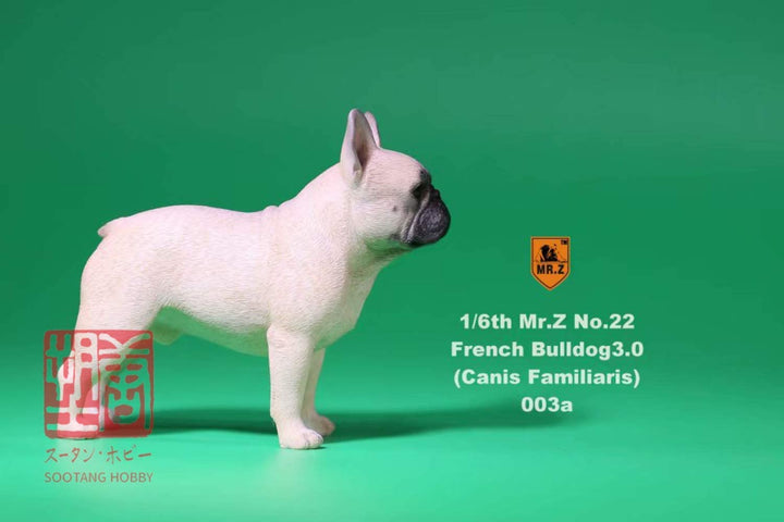 MR.Z 003 1/6 フレンチブルドッグ グレーホワイト フィギュア