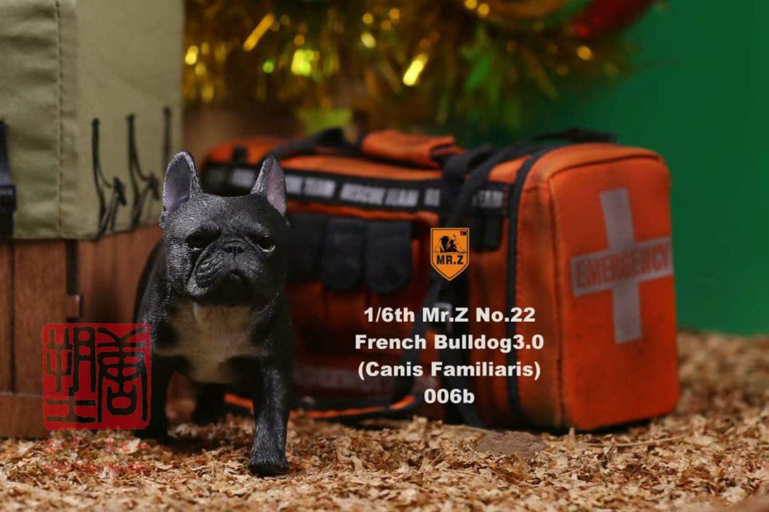 MR.Z 006 1/6 フレンチブルドッグ ダークブラック フィギュア