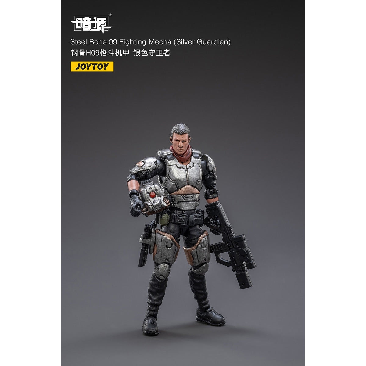 スティールボーン09 ファイティングメカ(シルバーガーディアン