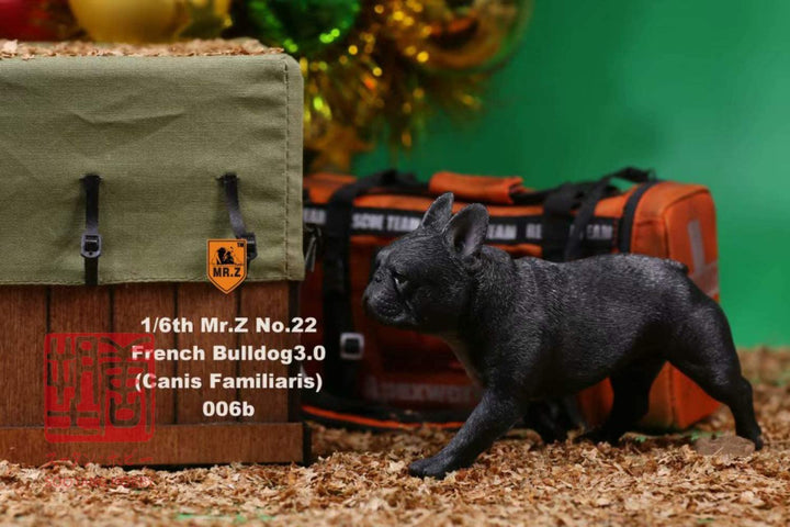 MR.Z 006 1/6 フレンチブルドッグ ダークブラック フィギュア