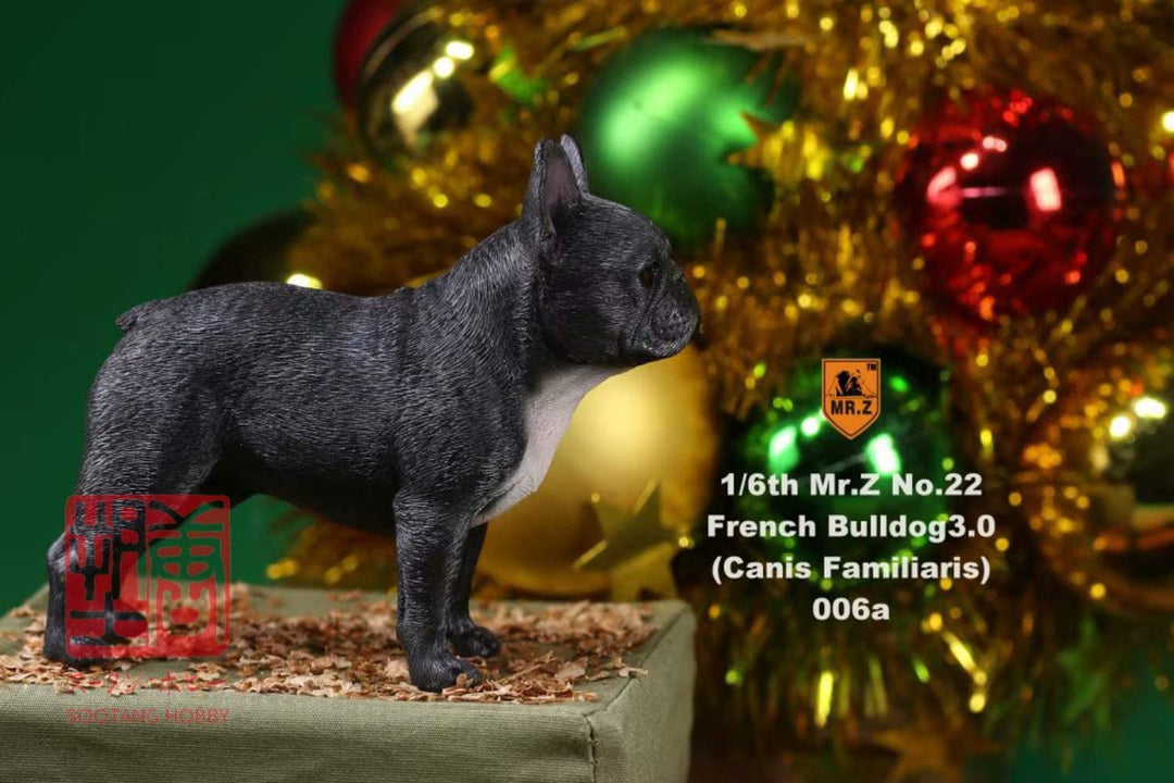 MR.Z 006 1/6 フレンチブルドッグ ダークブラック フィギュア
