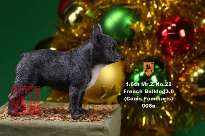 MR.Z 006 1/6 フレンチブルドッグ ダークブラック フィギュア