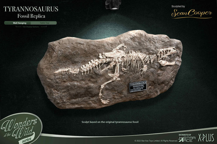 ワンダーズ オブ ザ ワイルド ティラノサウルス・レックス 化石レプリカ