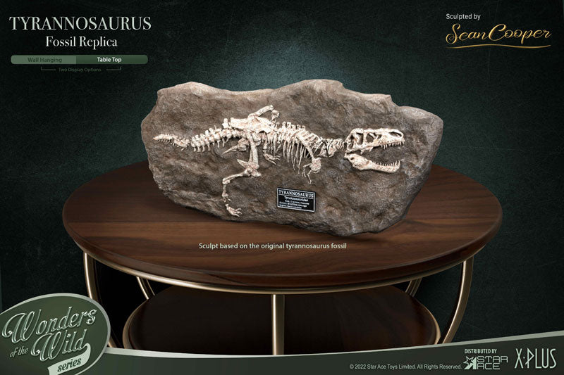 ワンダーズ オブ ザ ワイルド ティラノサウルス・レックス 化石レプリカ